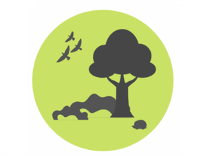 Augmenter l'Installation de L'arbre Algal dans Toulouse